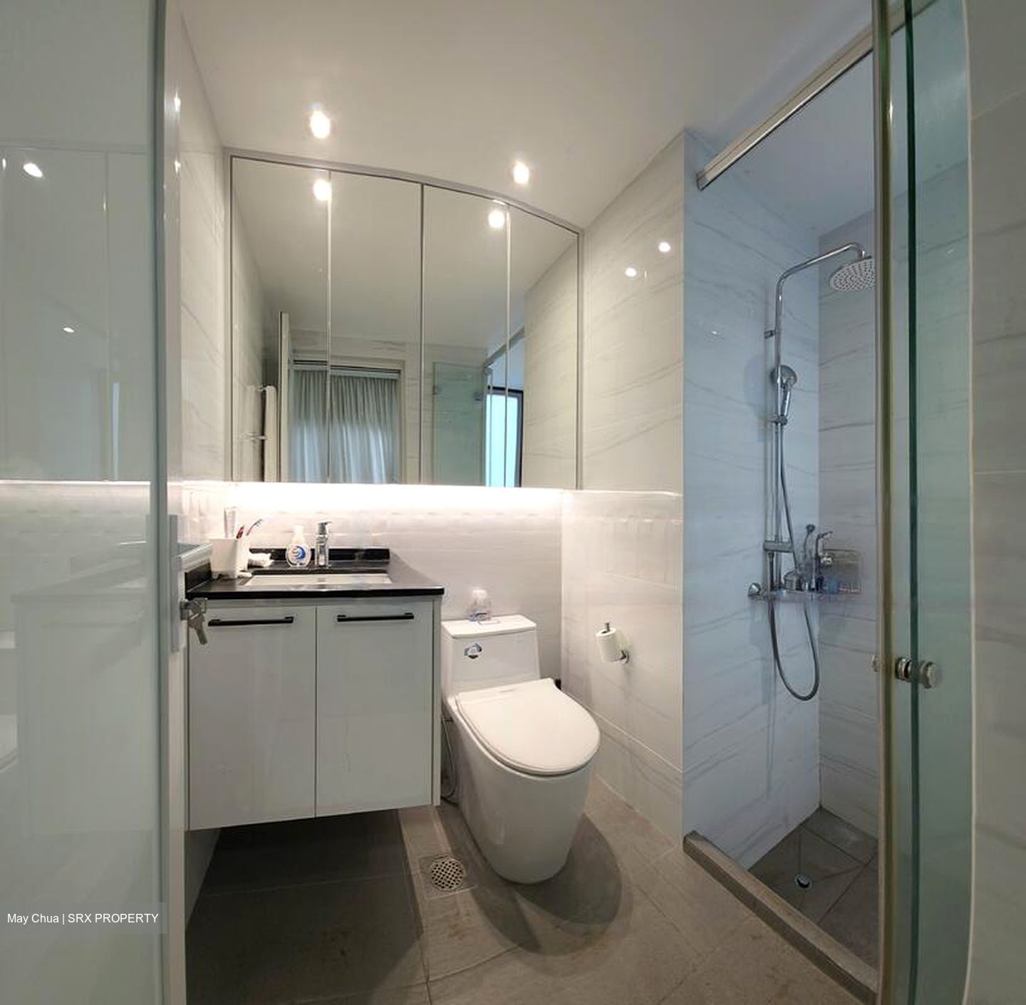 Riz Haven (D17), Apartment #481971421